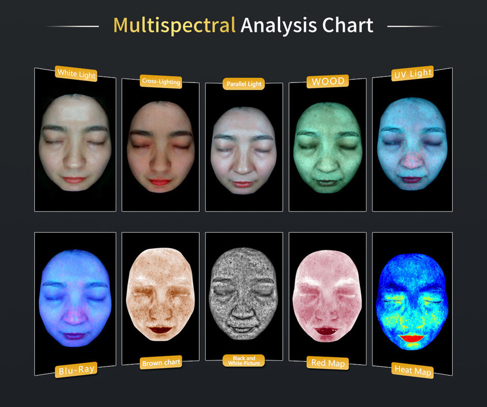 Quality Professional Multispectral Scalp Analyzer JLM-M8 with AI Analysis, HD Imaging & 24 Languages factory